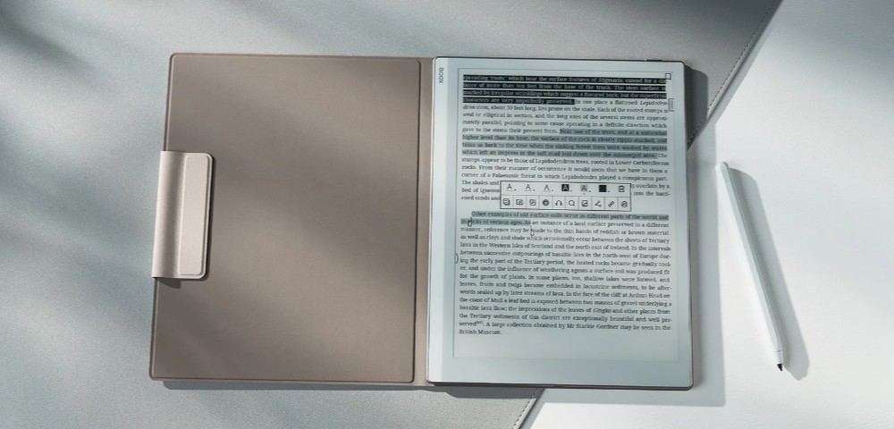 Originální pouzdro Onyx Boox Go 10.3, bílé